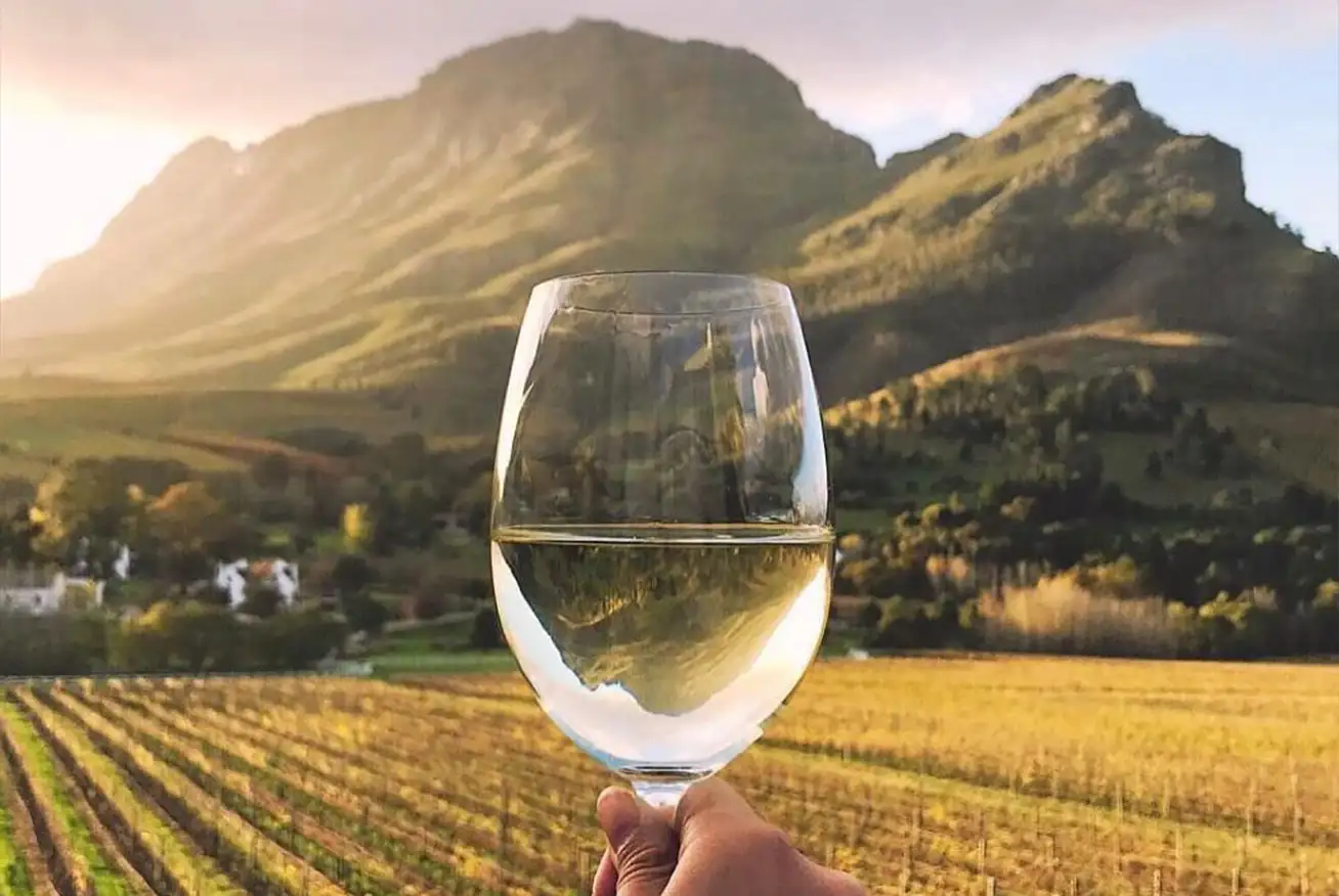 Vinícola Stellenbosch